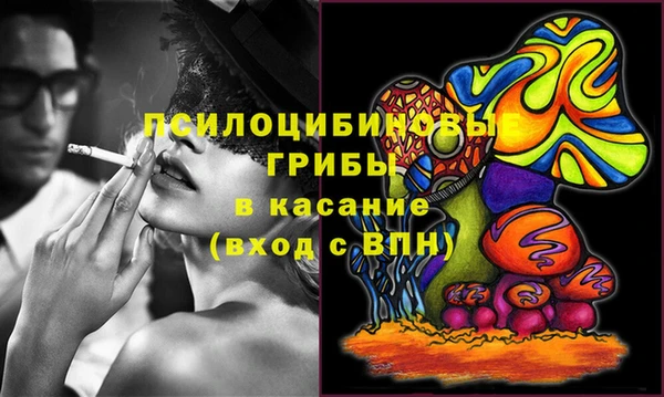 стафф Баксан