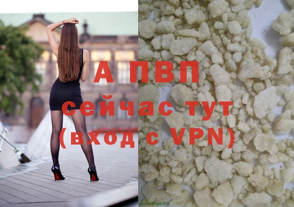 трава Беломорск