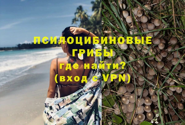 стафф Баксан